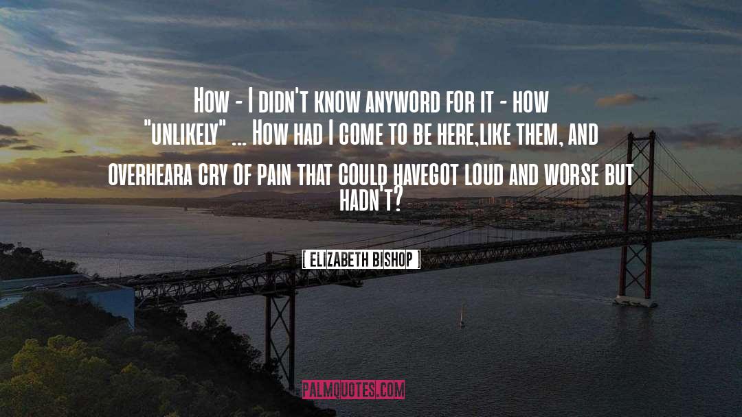 Elizabeth Bishop Quotes: How - I didn't know