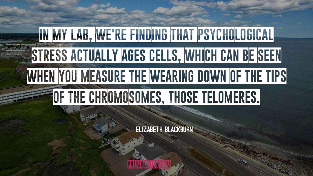 Elizabeth Blackburn Quotes: In my lab, we're finding