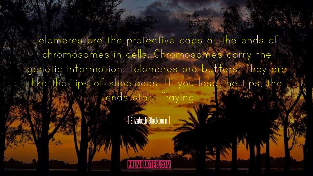 Elizabeth Blackburn Quotes: Telomeres are the protective caps