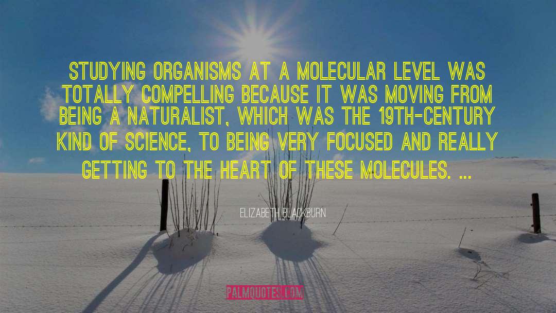 Elizabeth Blackburn Quotes: Studying organisms at a molecular