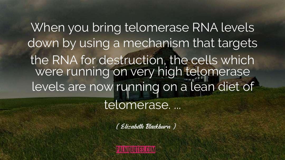 Elizabeth Blackburn Quotes: When you bring telomerase RNA