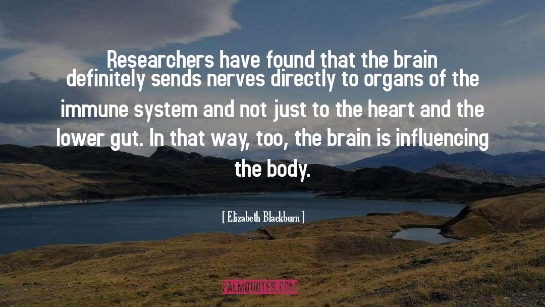 Elizabeth Blackburn Quotes: Researchers have found that the