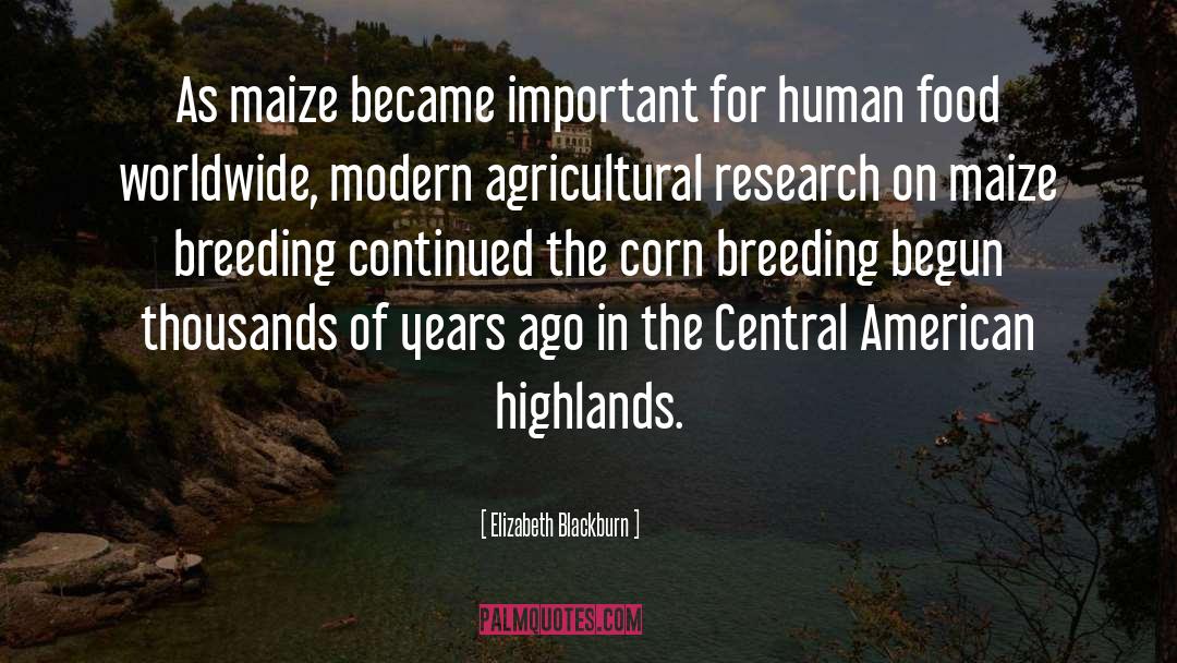 Elizabeth Blackburn Quotes: As maize became important for