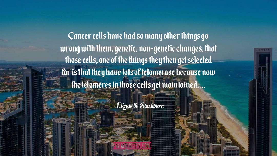 Elizabeth Blackburn Quotes: Cancer cells have had so