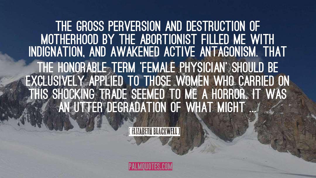 Elizabeth Blackwell Quotes: The gross perversion and destruction