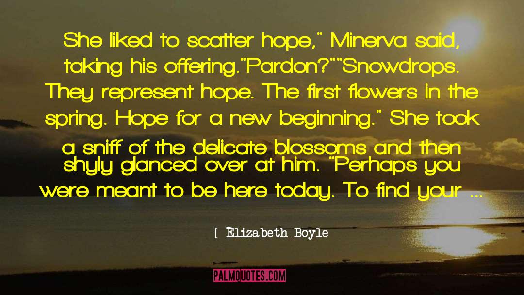 Elizabeth Boyle Quotes: She liked to scatter hope,