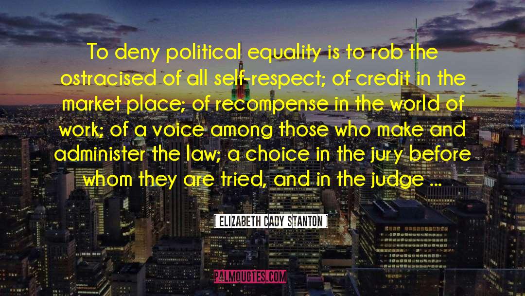Elizabeth Cady Stanton Quotes: To deny political equality is