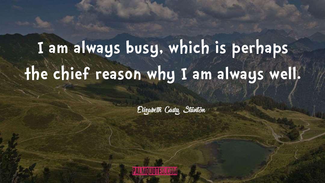 Elizabeth Cady Stanton Quotes: I am always busy, which