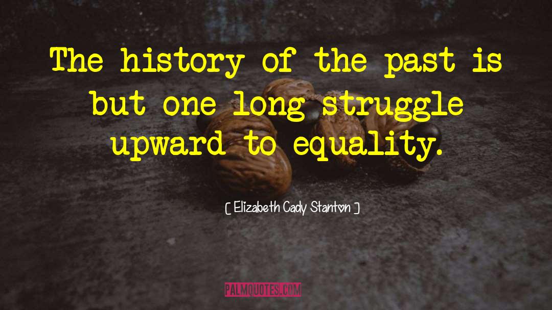 Elizabeth Cady Stanton Quotes: The history of the past