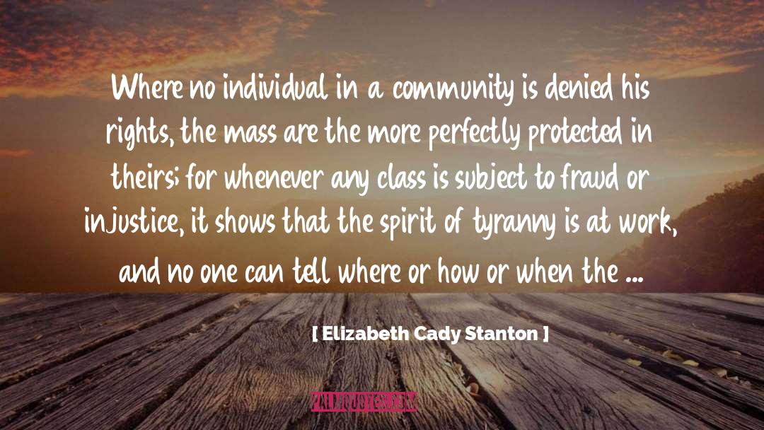 Elizabeth Cady Stanton Quotes: Where no individual in a
