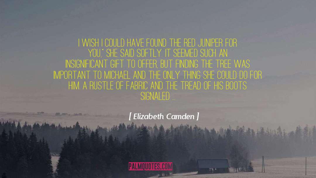 Elizabeth Camden Quotes: I wish I could have