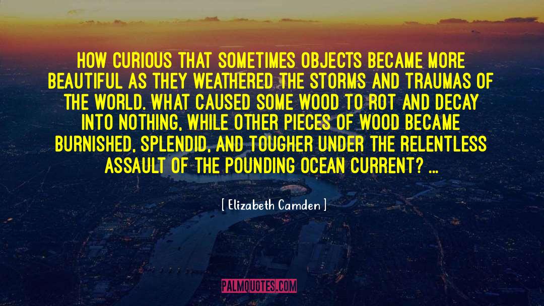 Elizabeth Camden Quotes: How curious that sometimes objects