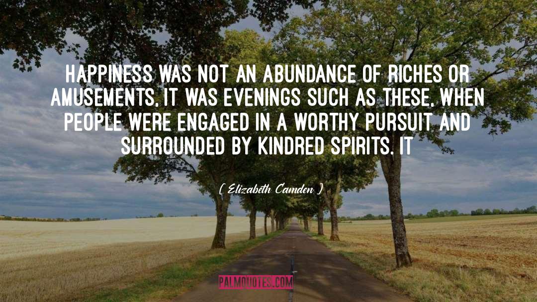 Elizabeth Camden Quotes: Happiness was not an abundance