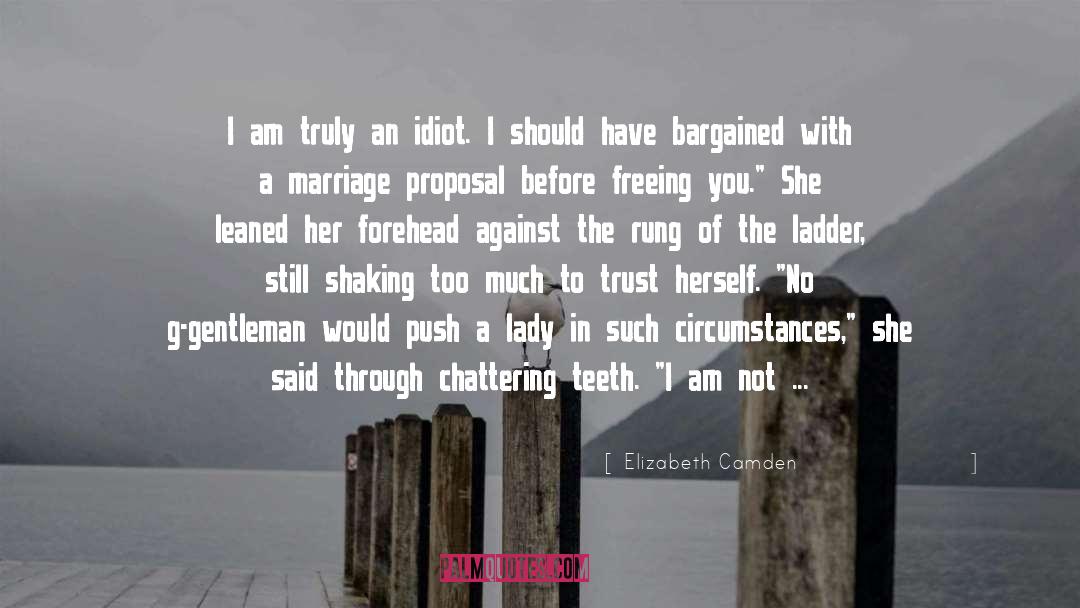 Elizabeth Camden Quotes: I am truly an idiot.