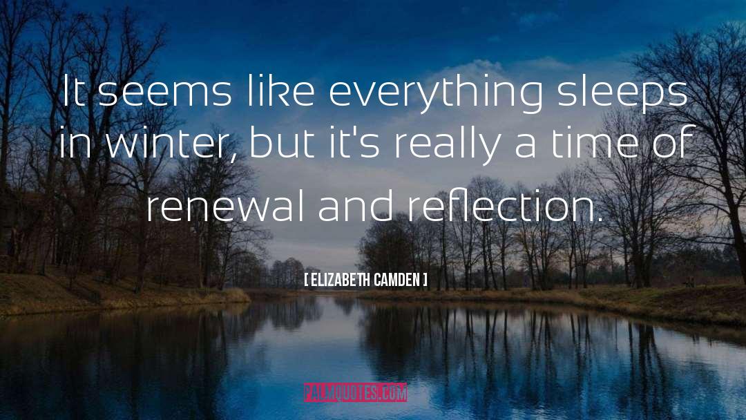 Elizabeth Camden Quotes: It seems like everything sleeps