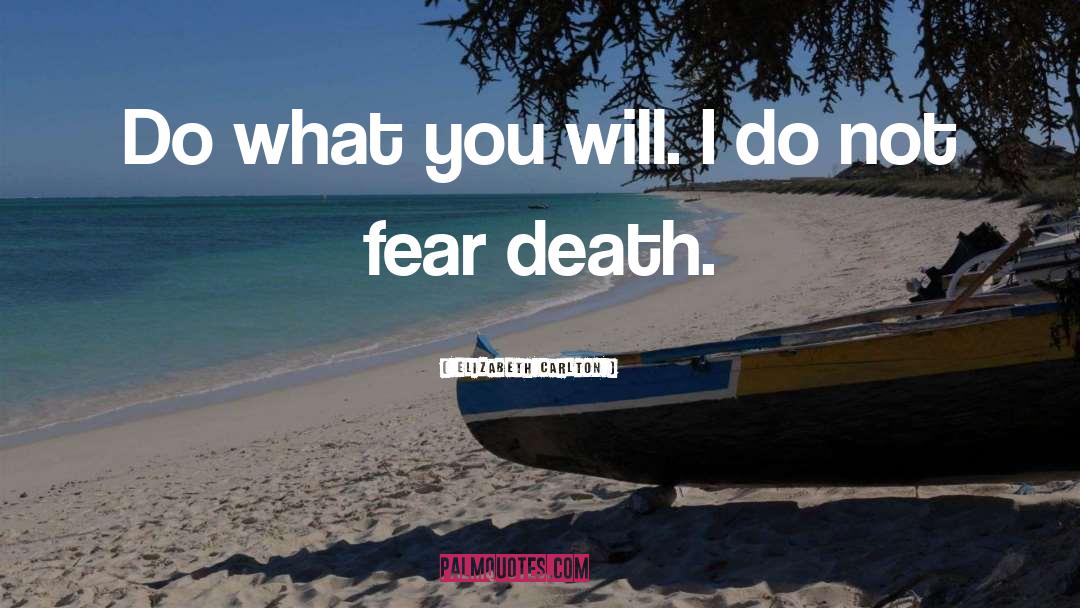 Elizabeth Carlton Quotes: Do what you will. I