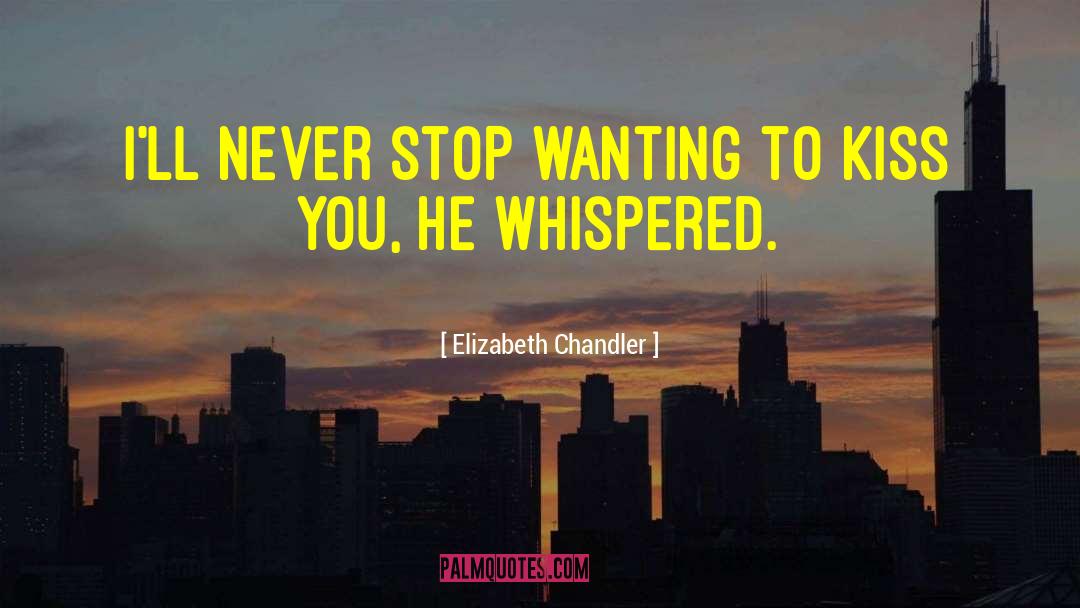 Elizabeth Chandler Quotes: I'll never stop wanting to