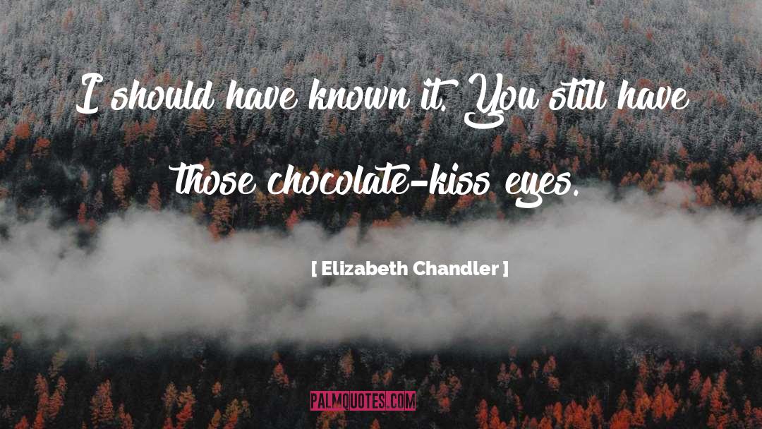 Elizabeth Chandler Quotes: I should have known it.
