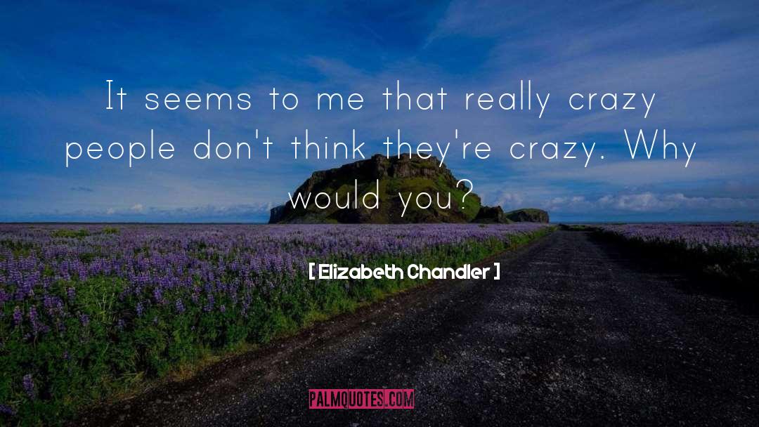 Elizabeth Chandler Quotes: It seems to me that