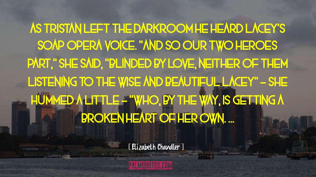 Elizabeth Chandler Quotes: As Tristan left the darkroom