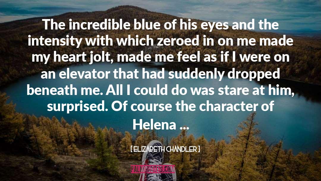 Elizabeth Chandler Quotes: The incredible blue of his