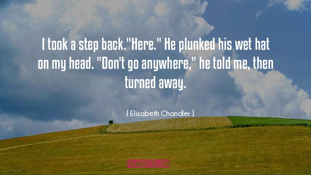 Elizabeth Chandler Quotes: I took a step back.<br>