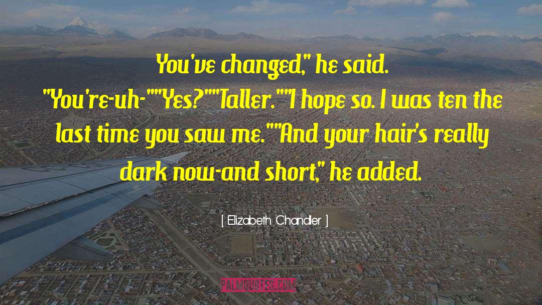 Elizabeth Chandler Quotes: You've changed,