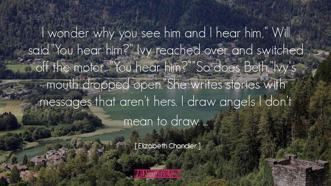Elizabeth Chandler Quotes: I wonder why you see