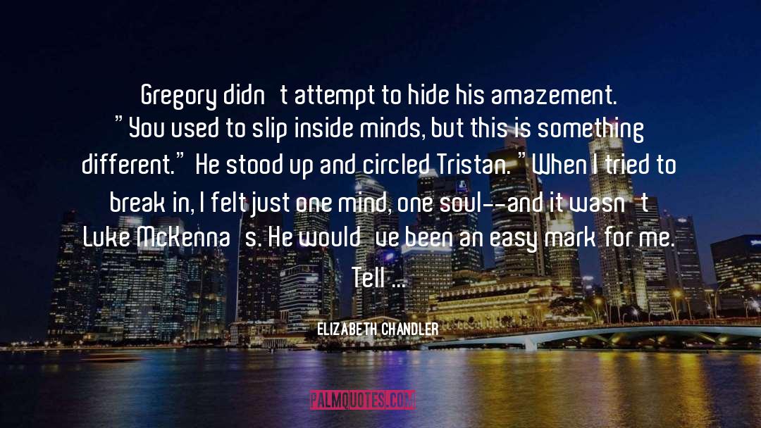 Elizabeth Chandler Quotes: Gregory didn't attempt to hide