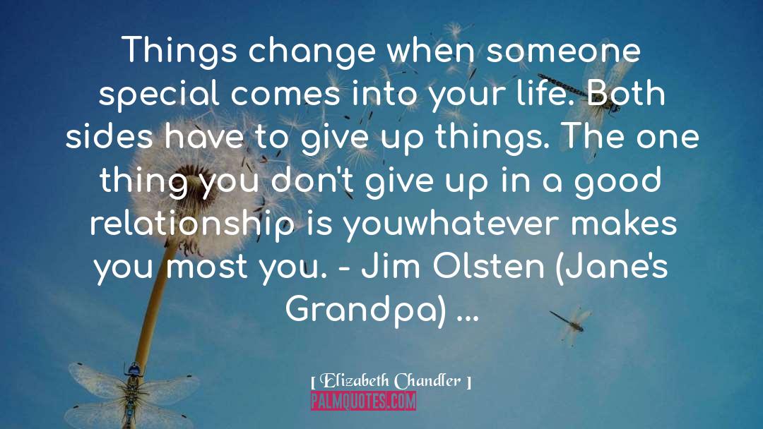 Elizabeth Chandler Quotes: Things change when someone special