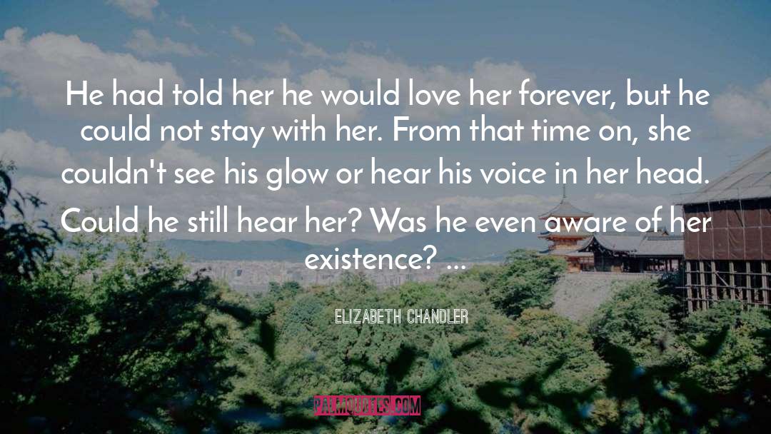 Elizabeth Chandler Quotes: He had told her he