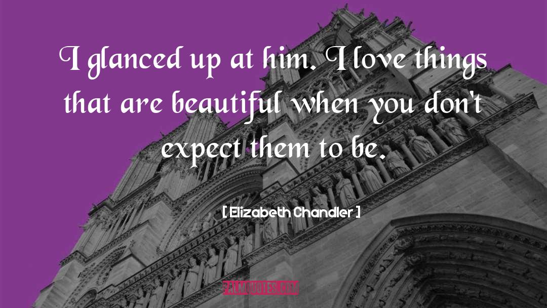 Elizabeth Chandler Quotes: I glanced up at him.