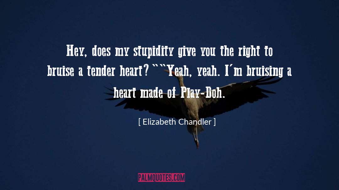 Elizabeth Chandler Quotes: Hey, does my stupidity give