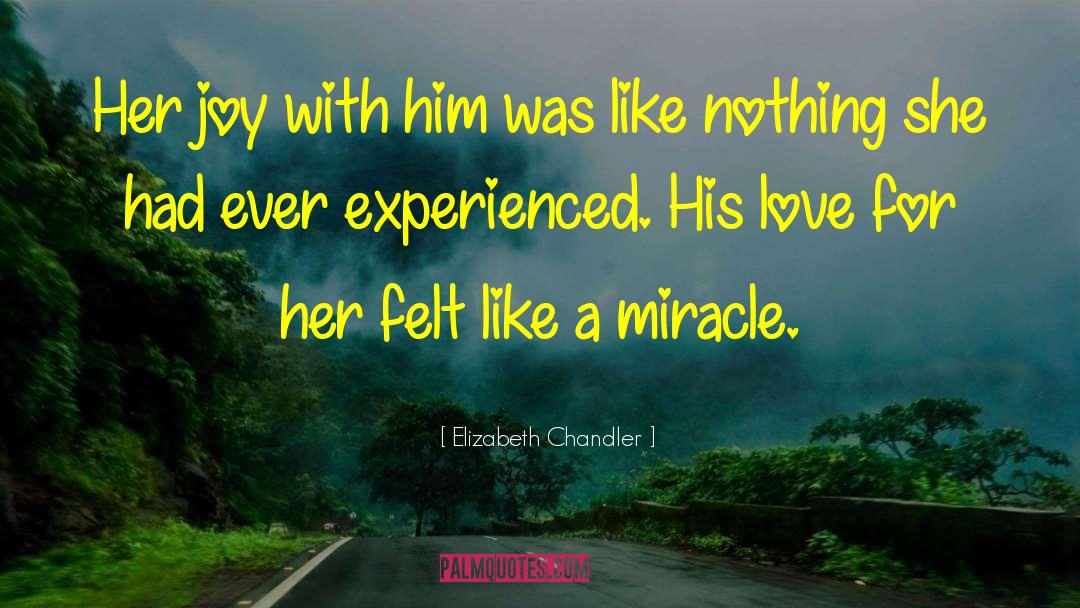 Elizabeth Chandler Quotes: Her joy with him was