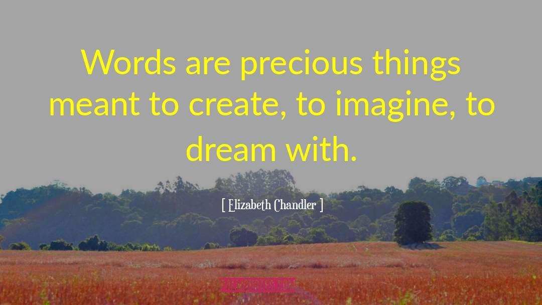 Elizabeth Chandler Quotes: Words are precious things meant