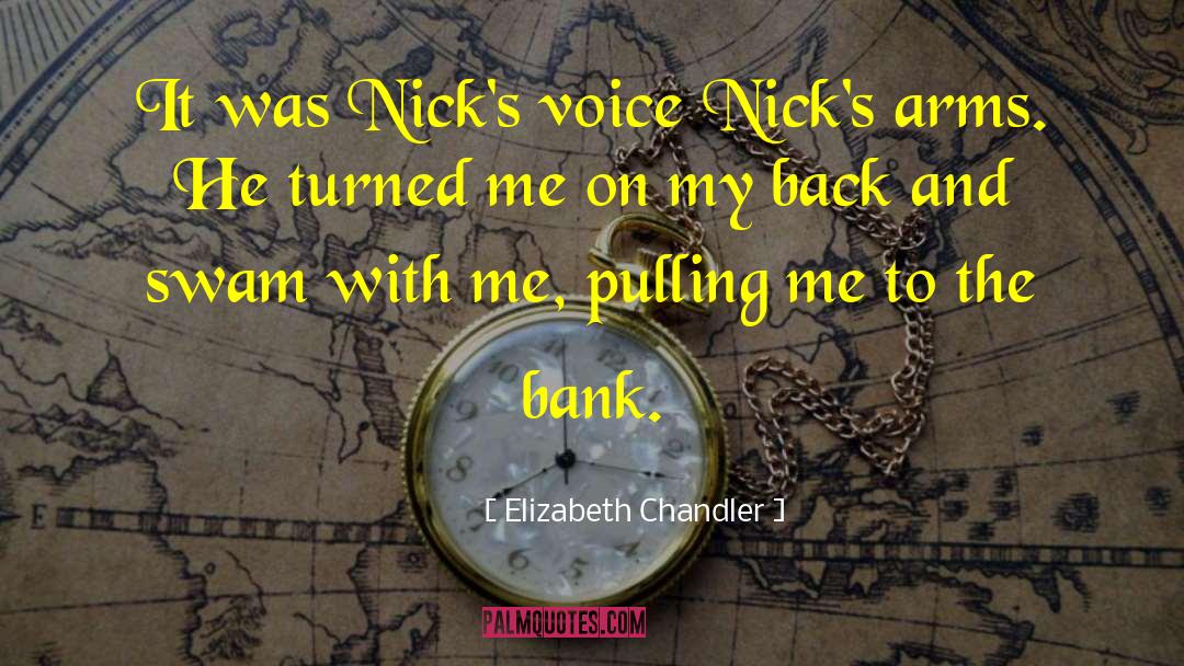 Elizabeth Chandler Quotes: It was Nick's voice Nick's