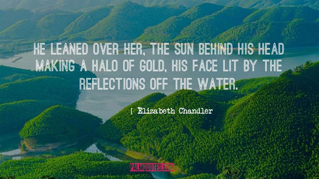 Elizabeth Chandler Quotes: He leaned over her, the