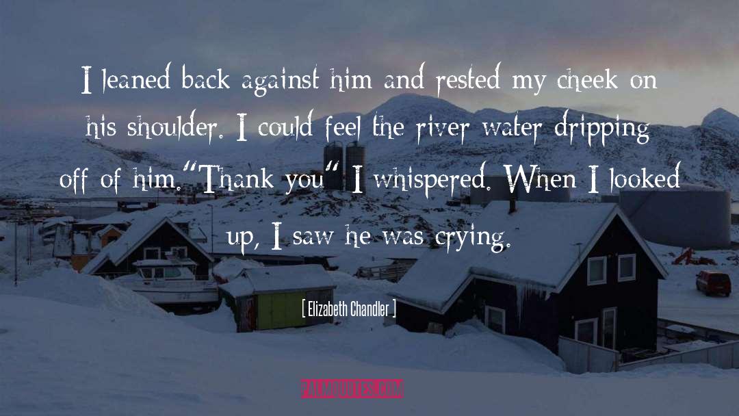 Elizabeth Chandler Quotes: I leaned back against him