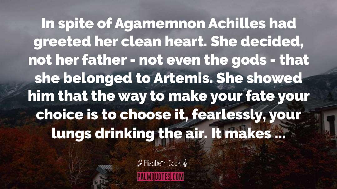 Elizabeth Cook Quotes: In spite of Agamemnon Achilles