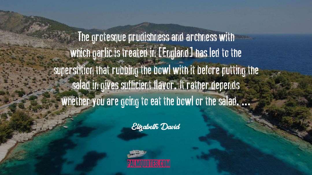 Elizabeth David Quotes: The grotesque prudishness and archness