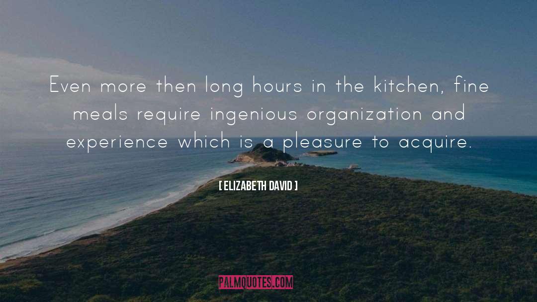 Elizabeth David Quotes: Even more then long hours