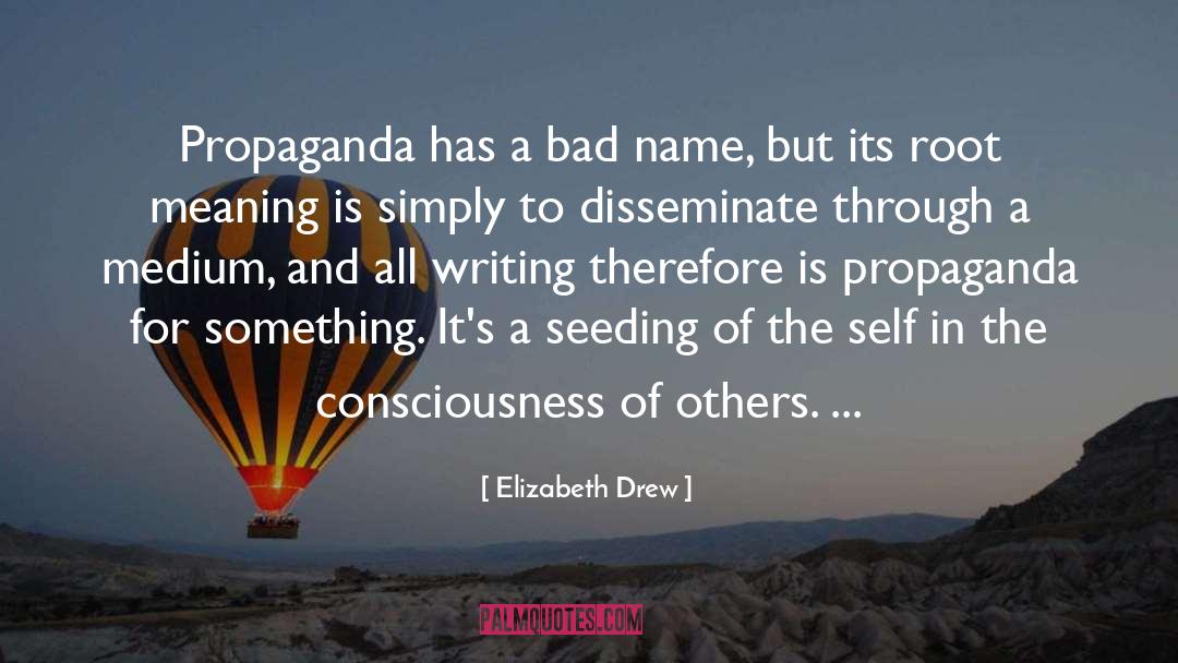 Elizabeth Drew Quotes: Propaganda has a bad name,