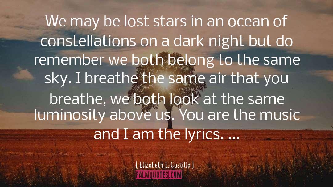 Elizabeth E. Castillo Quotes: We may be lost stars