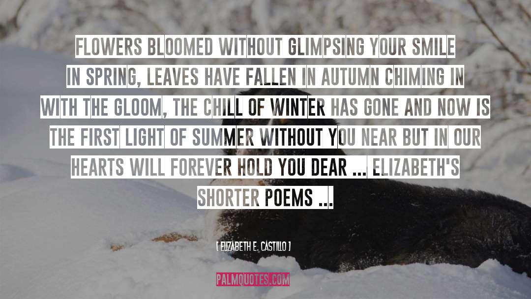 Elizabeth E. Castillo Quotes: Flowers bloomed without glimpsing your