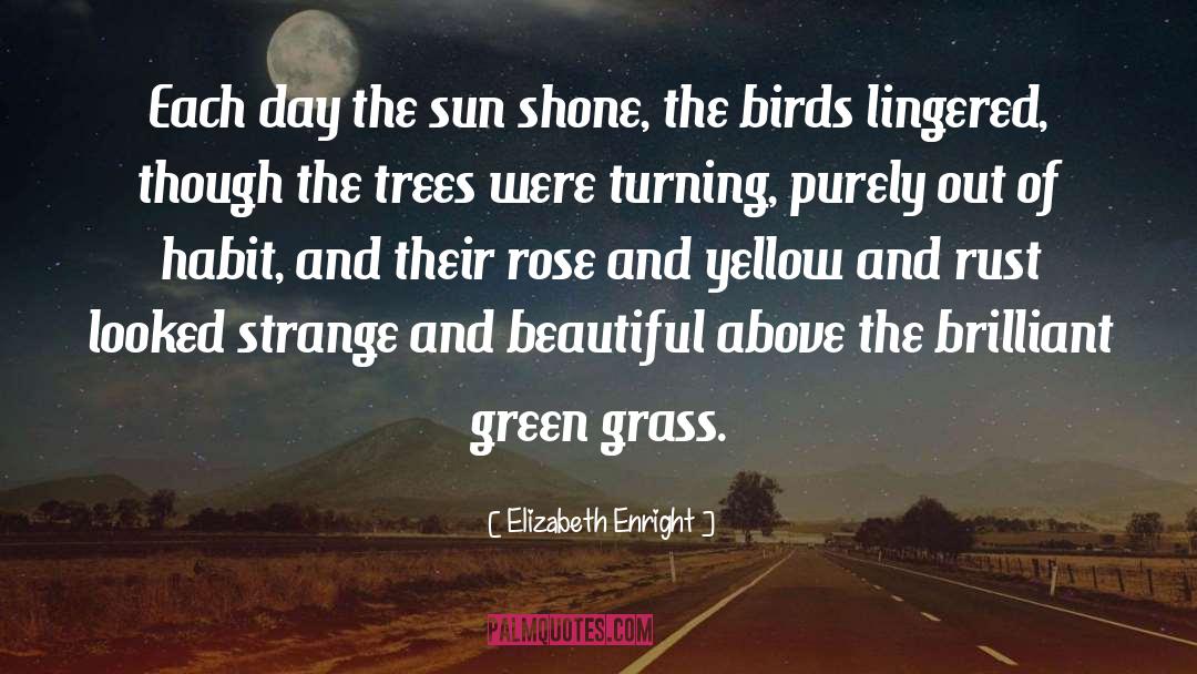 Elizabeth Enright Quotes: Each day the sun shone,