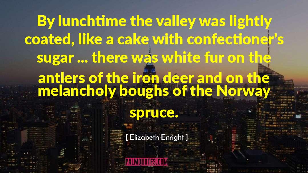 Elizabeth Enright Quotes: By lunchtime the valley was