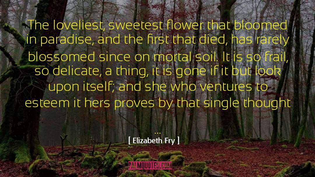 Elizabeth Fry Quotes: The loveliest, sweetest flower that