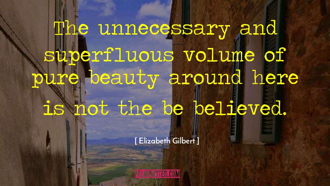 Elizabeth Gilbert Quotes: The unnecessary and superfluous volume