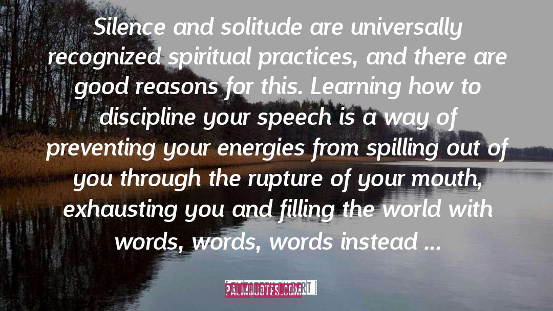 Elizabeth Gilbert Quotes: Silence and solitude are universally