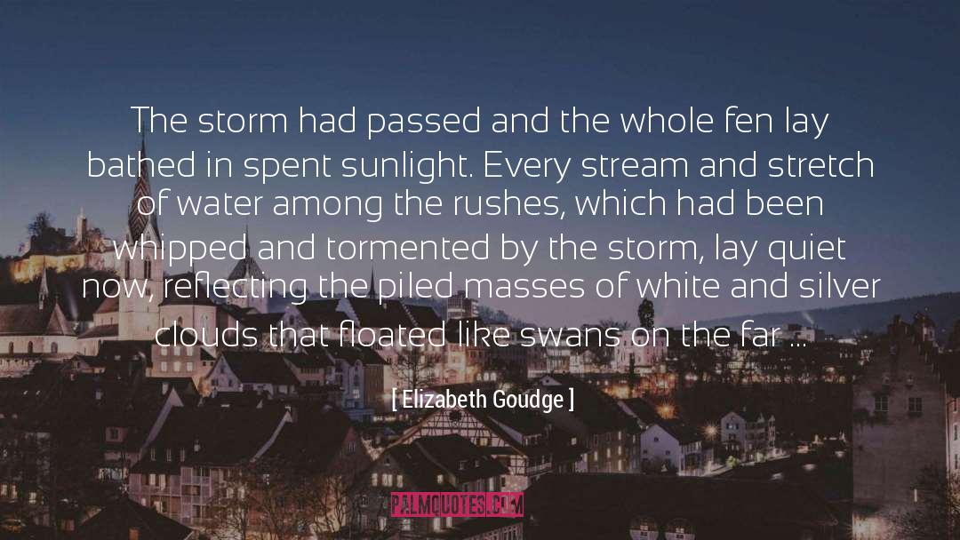 Elizabeth Goudge Quotes: The storm had passed and